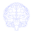 brain logo